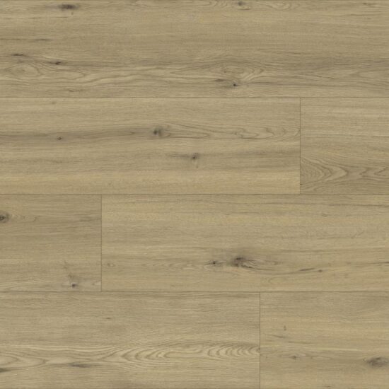 D80651 CQ Tamins Oak