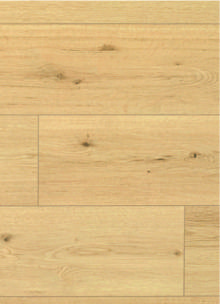 D80631 CQ Disentis Oak