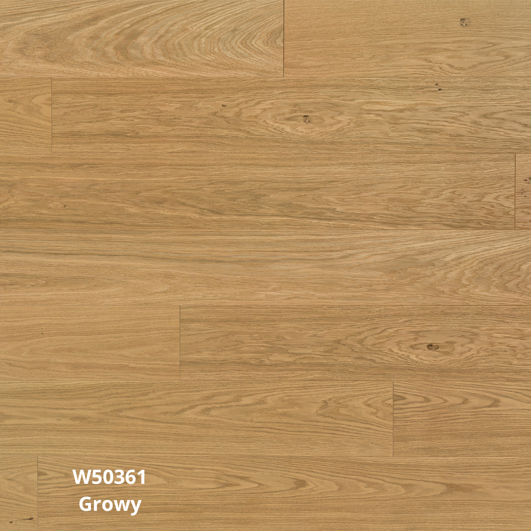 W50361 Growy