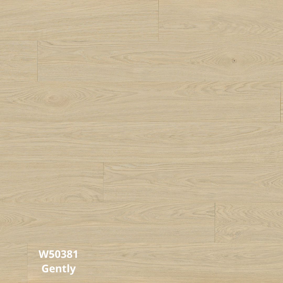 W50381 Gently