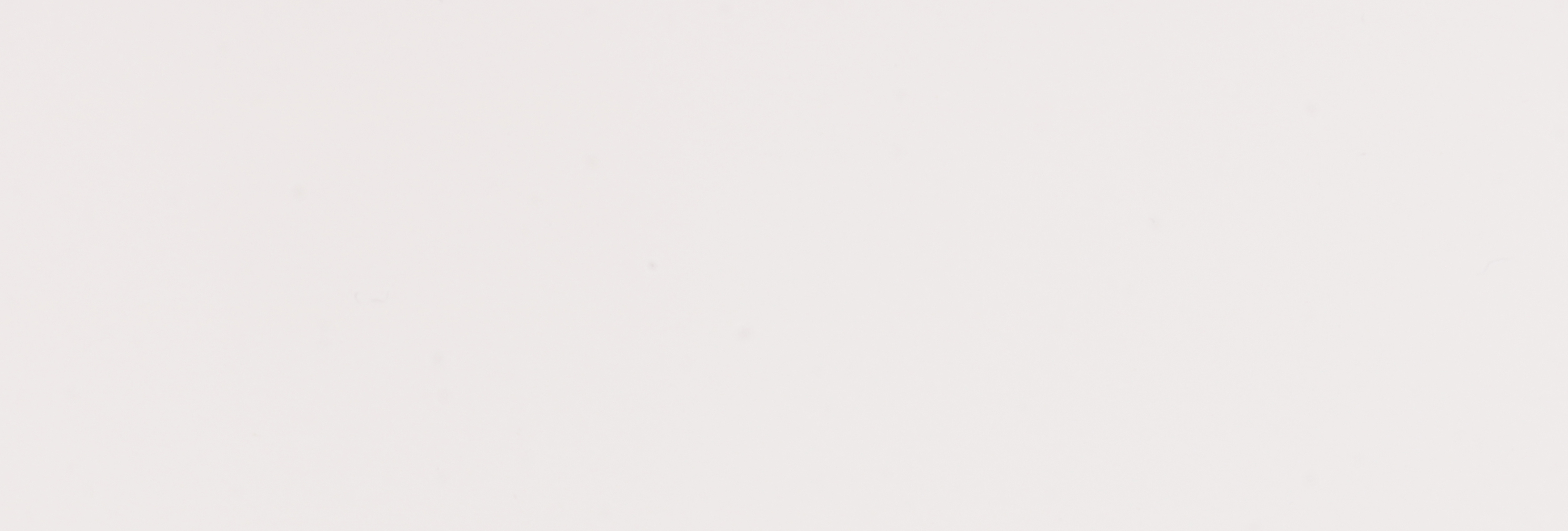 616 Branco (CPL)