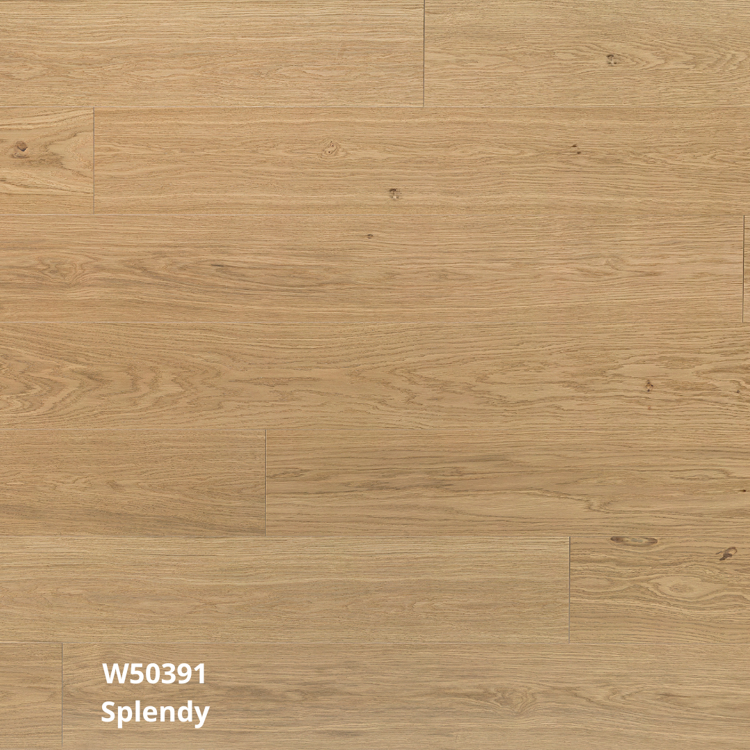 W50391fl-splendy